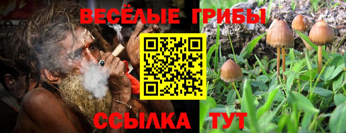 Псилоцибиновые грибы MAGIC MUSHROOMS Калуга