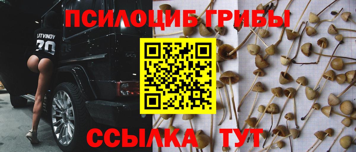 Галлюциногенные грибы Magic Shrooms  Вход с VPN  Псилоцибиновые грибы GOLDEN TEACHER  Калуга 